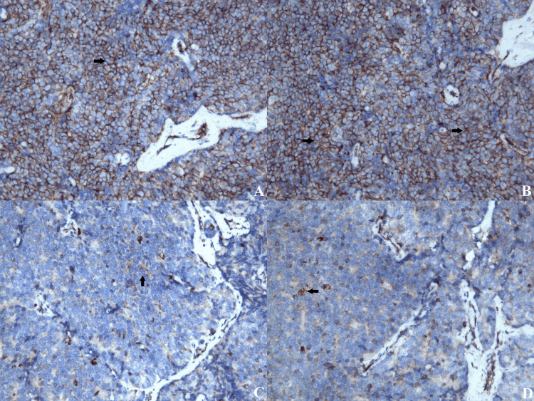 Figure 8