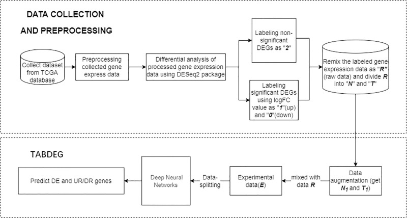Figure 9