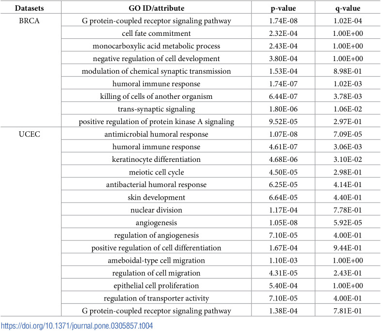 Figure 19