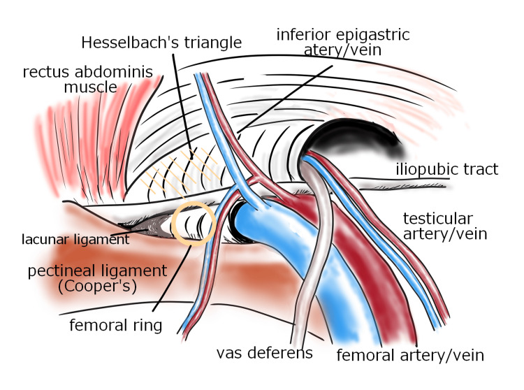 Figure 9
