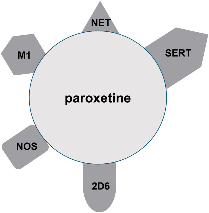 Figure 1