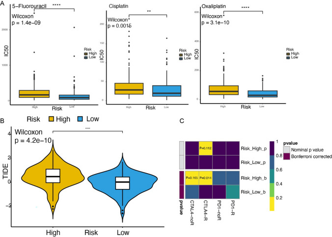 Figure 13
