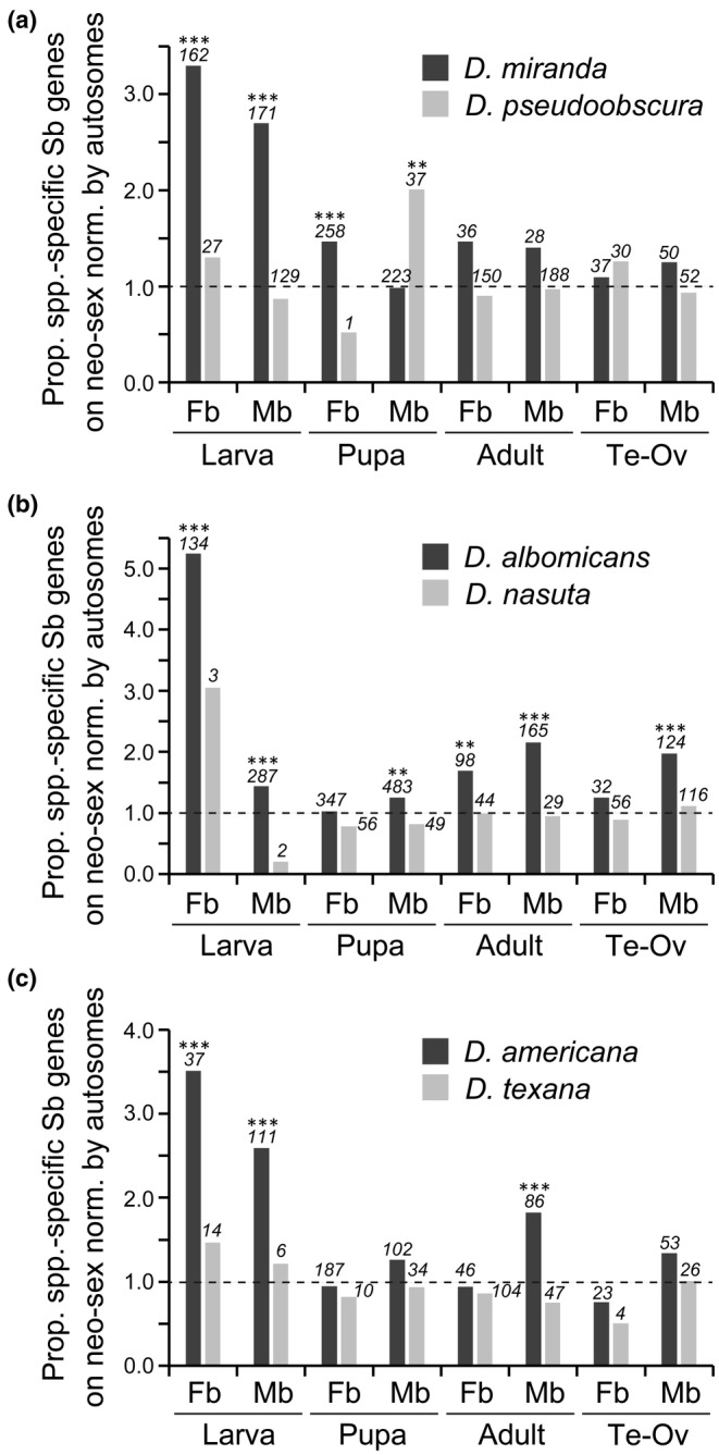 FIGURE 3