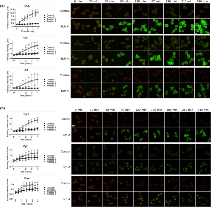 FIGURE 3