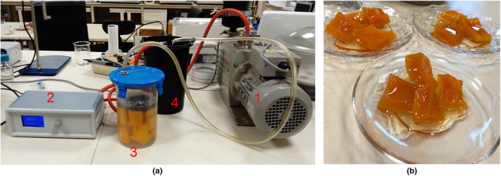 FIGURE 1