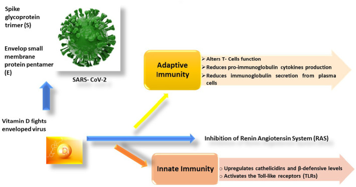 FIGURE 4