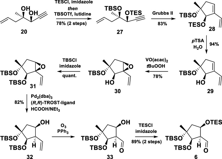 Scheme 5