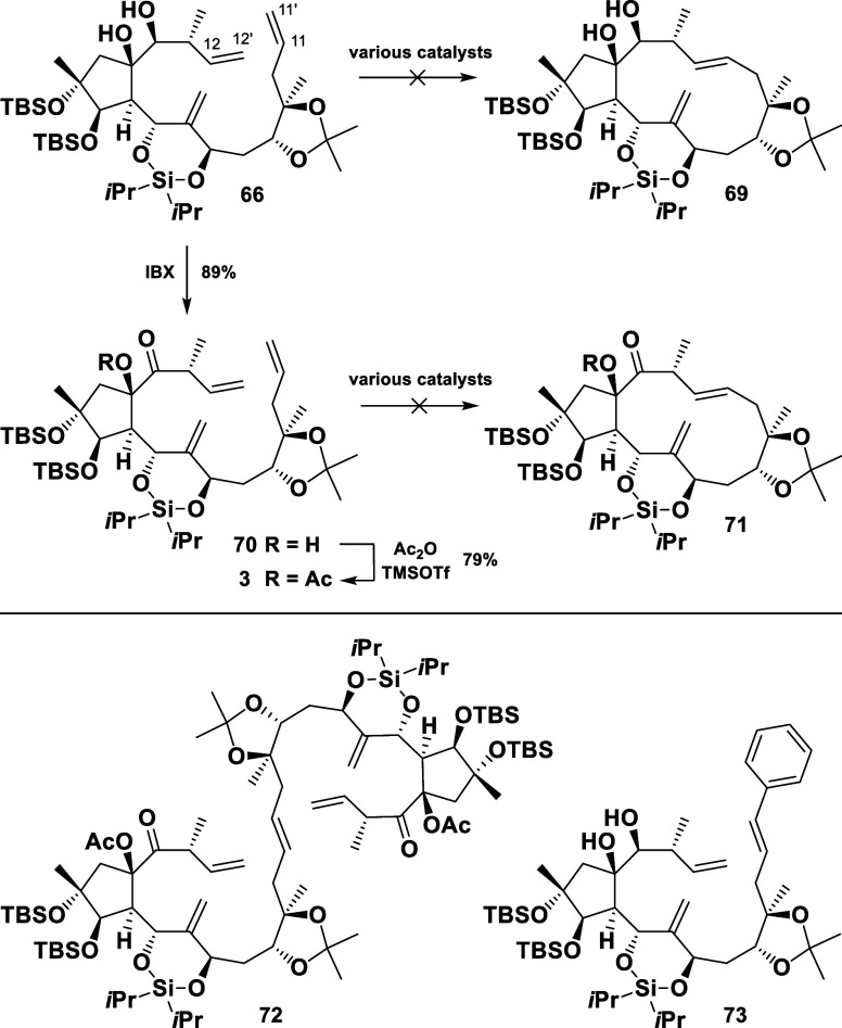 Scheme 13
