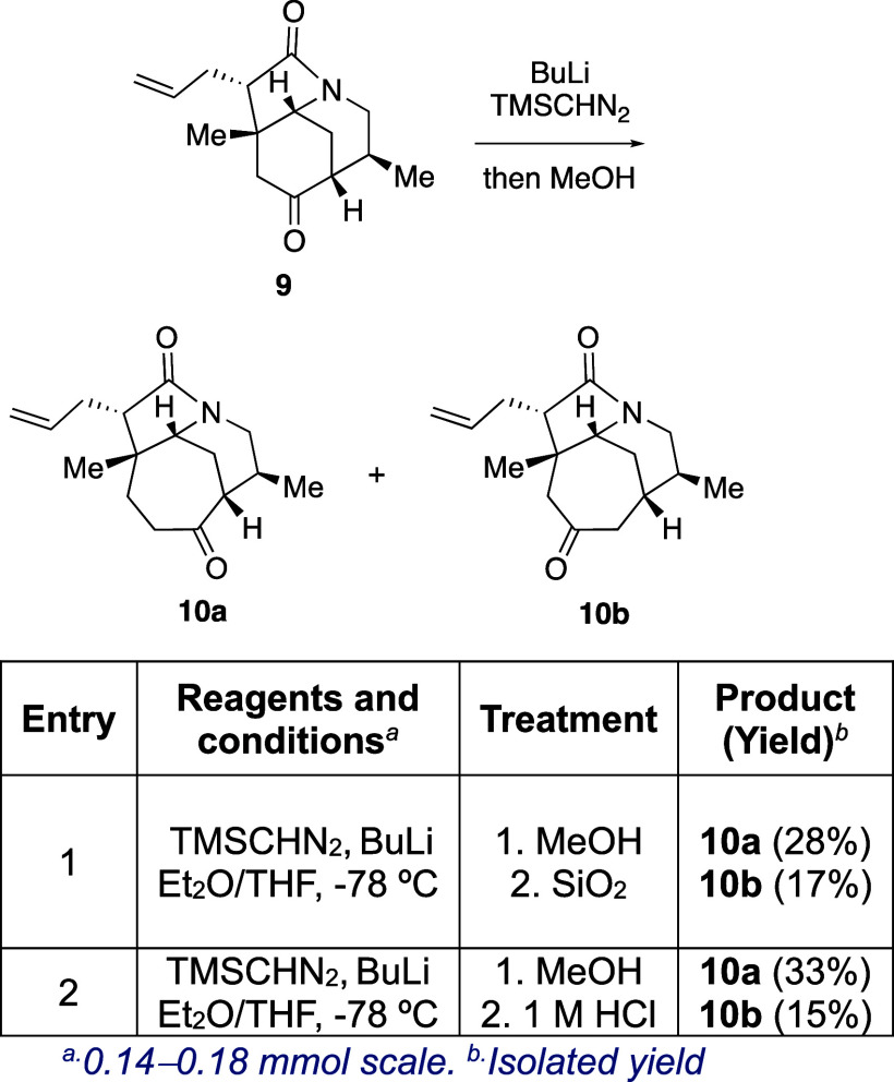 Scheme 5