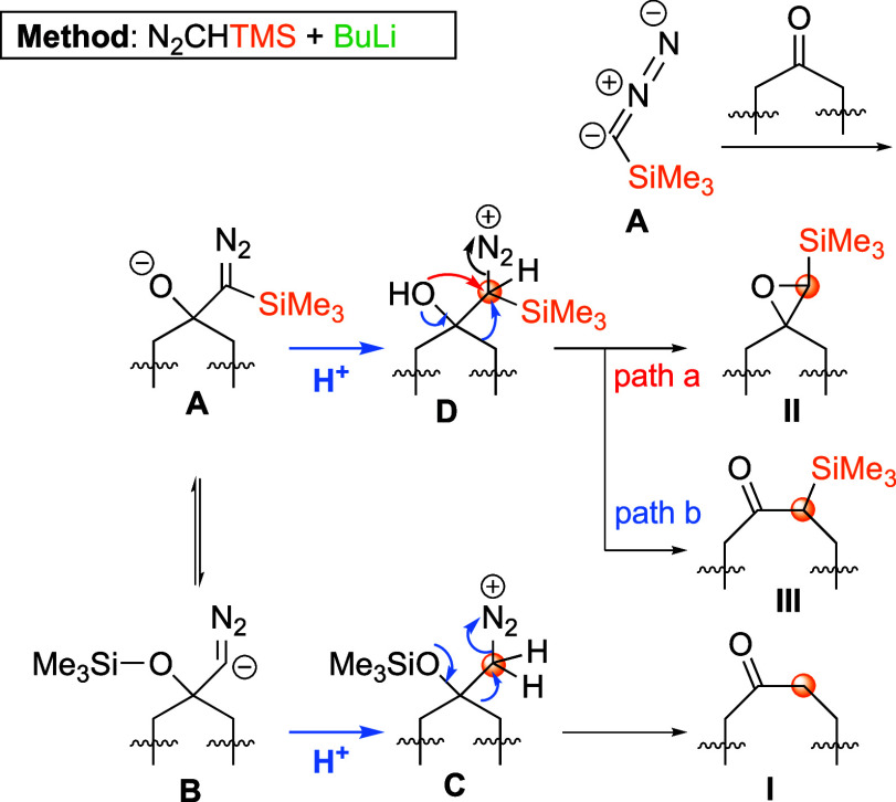 Scheme 7