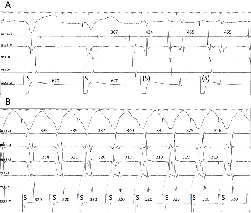 Figure 8