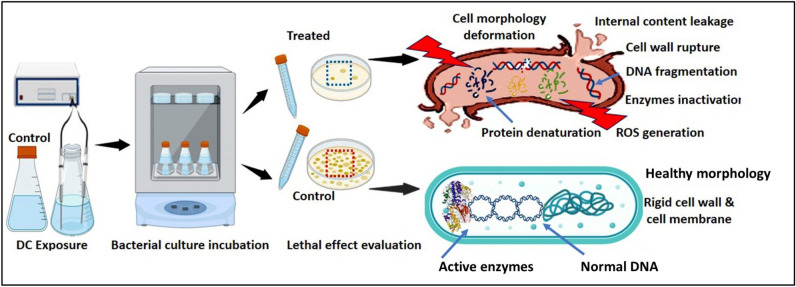 Figure 11