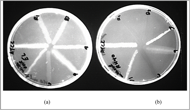 Figure 6