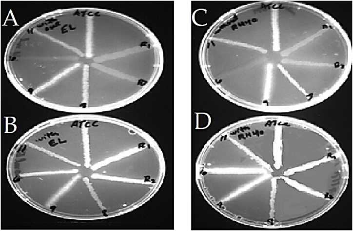 Figure 7
