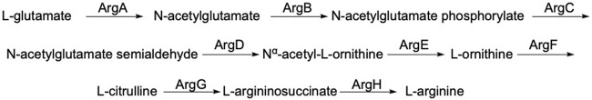 Figure 33