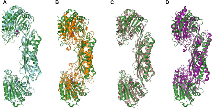 Figure 36