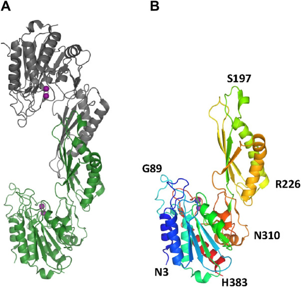 Figure 37
