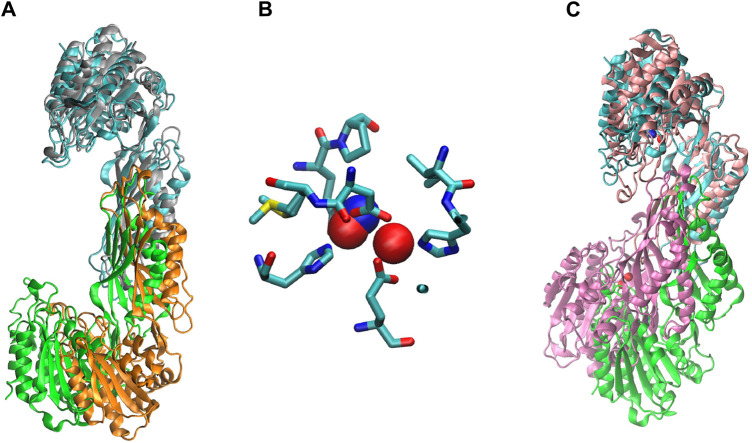 Figure 42