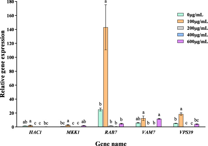 Figure 7