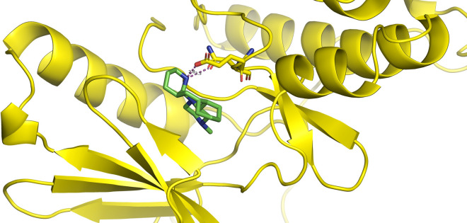 Fig 10