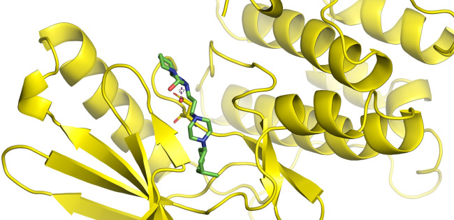 Fig 11