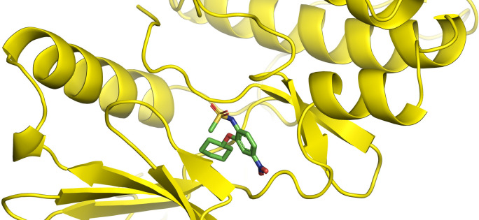 Fig 12