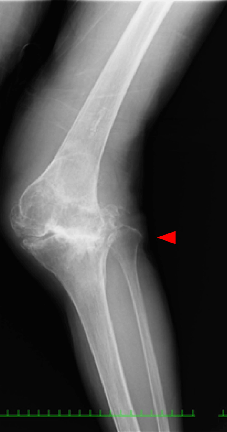Figure 8