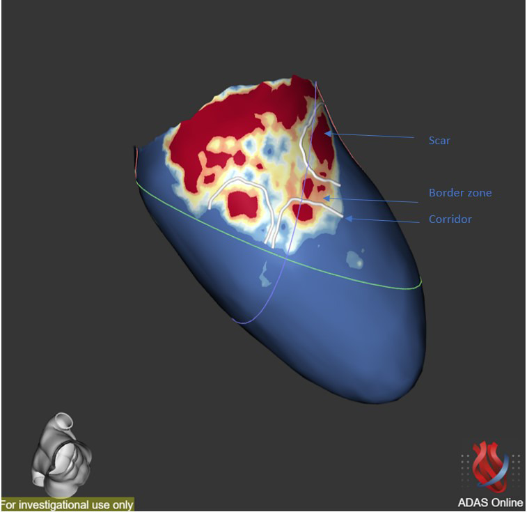 Fig. 6