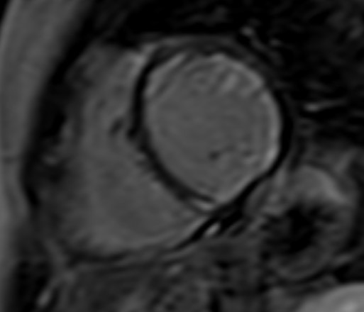 Fig. 7