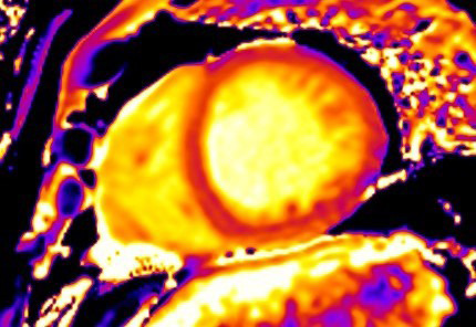 Fig. 8