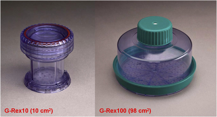 FIGURE 1