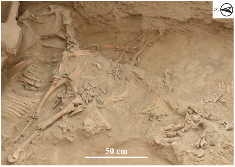 Figure 6