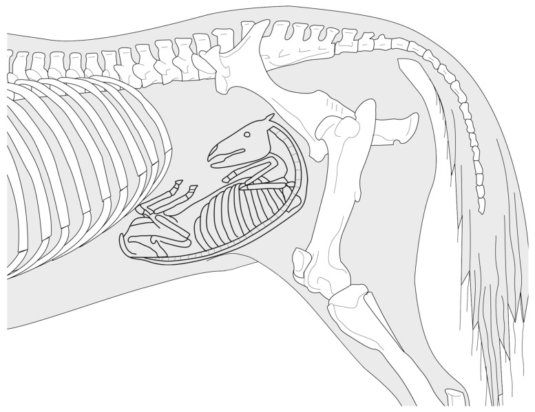 Figure 8