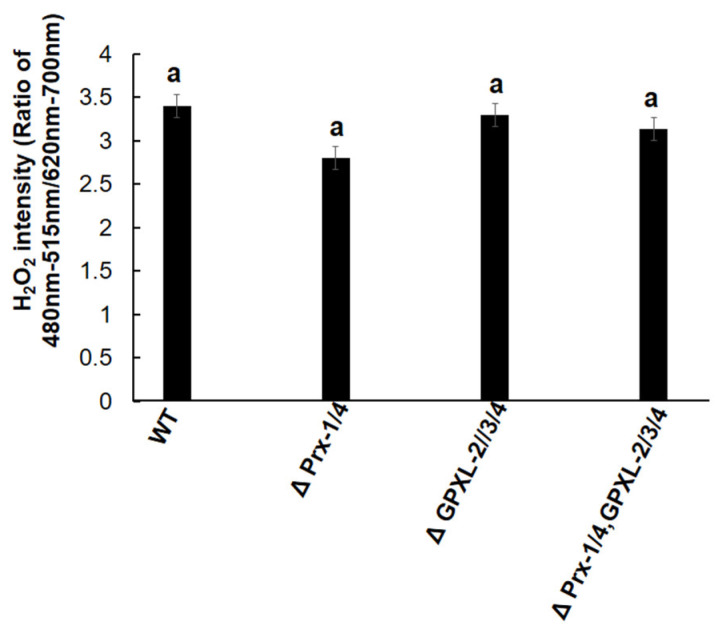 Figure 12