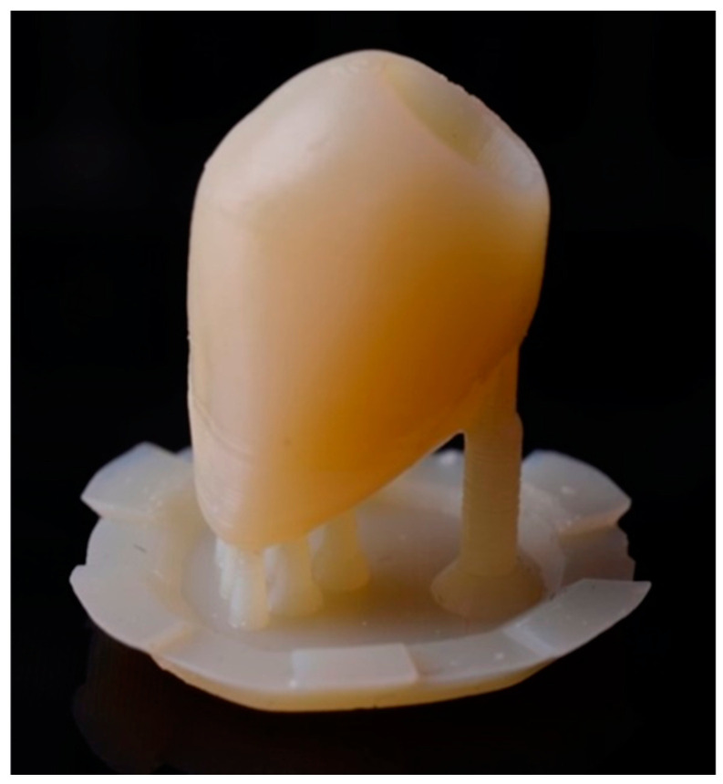 Figure 5