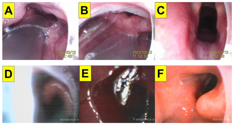 Figure 7