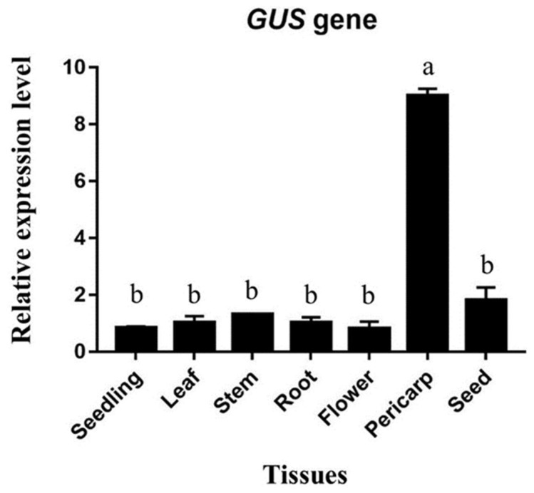 Figure 7