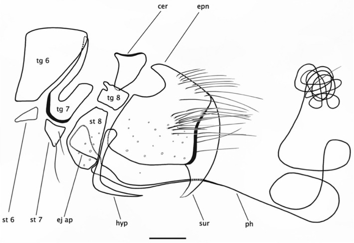 Figure 9