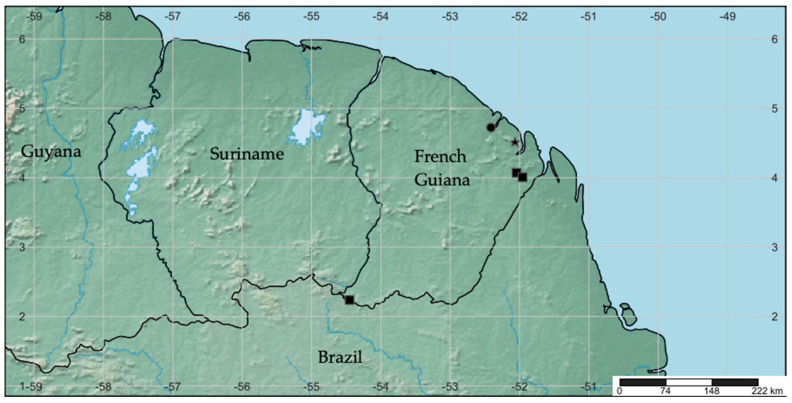 Figure 13