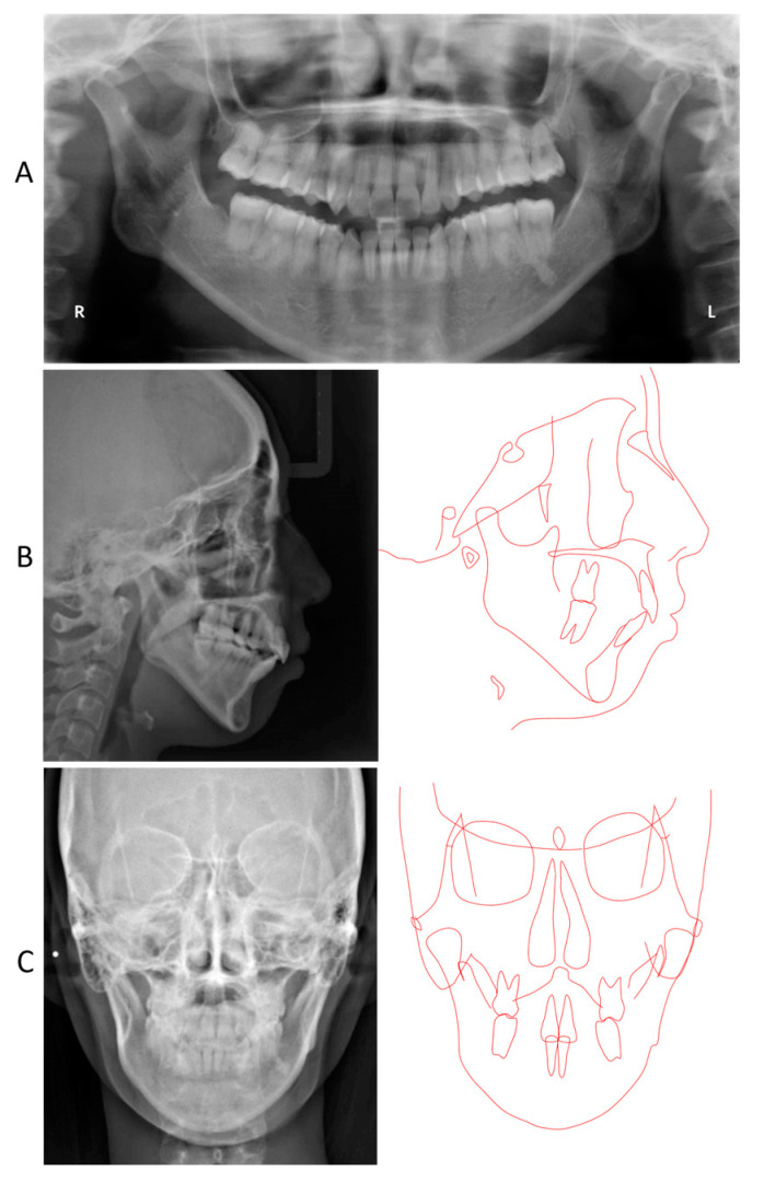 Figure 7