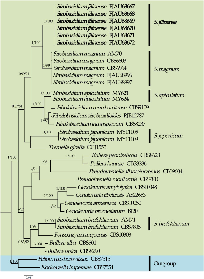 Figure 1