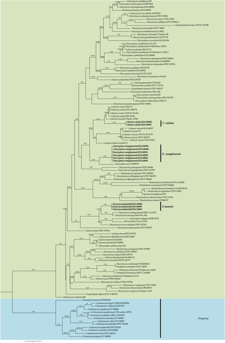 Figure 2