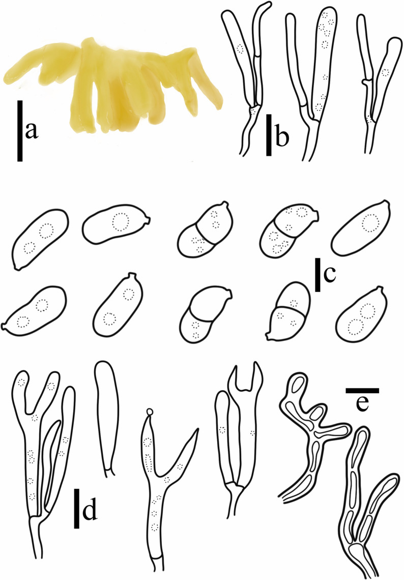 Figure 10