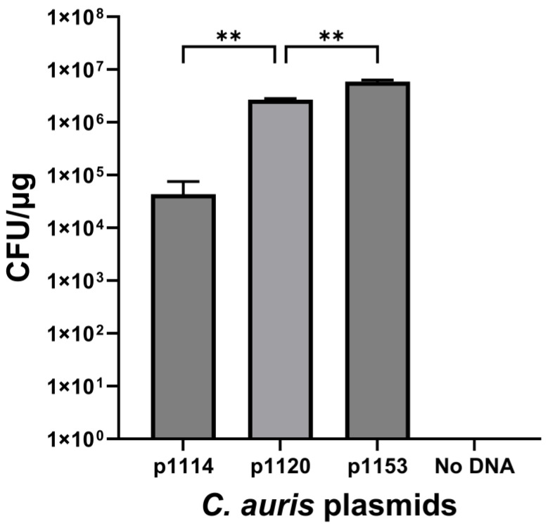 Figure 5