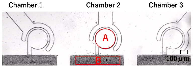 Figure 8