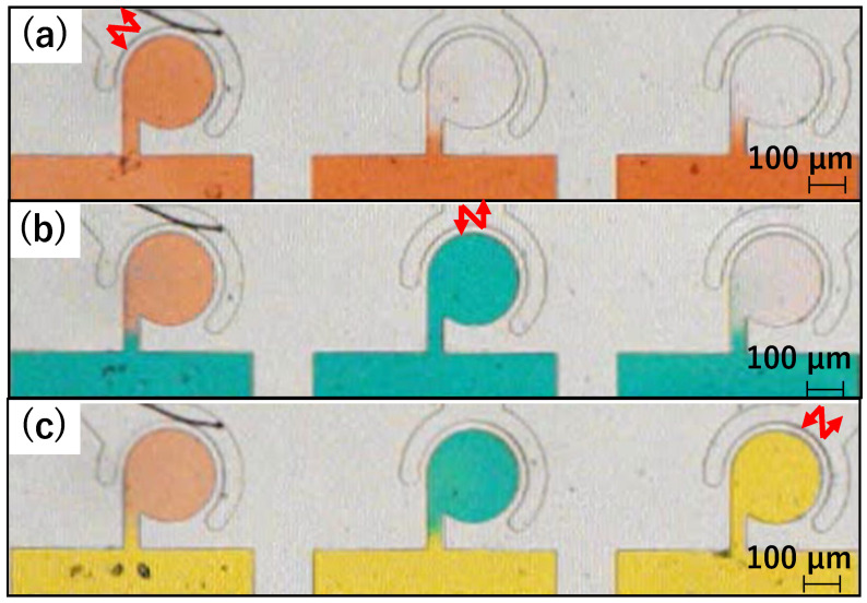 Figure 12