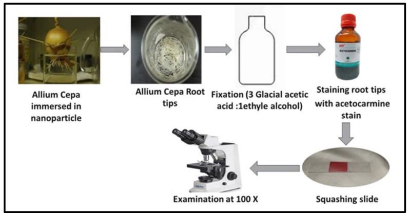 Figure 15