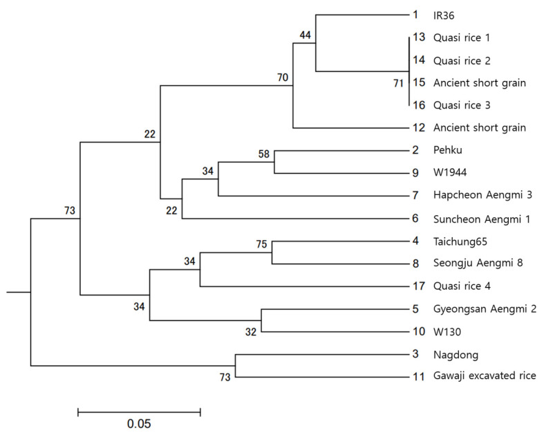 Figure 12
