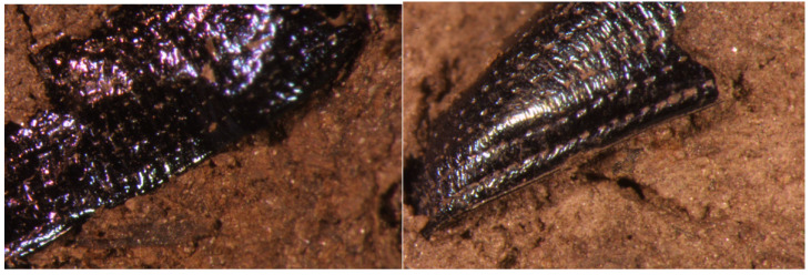 Figure 15