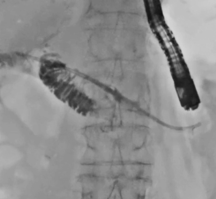 Fig. 5